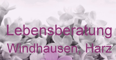Lebensberatung Windhausen, Harz | Top-Experten für Kartenlegen, Wahrsagen, Hellsehen, Zukunftsdeutung.